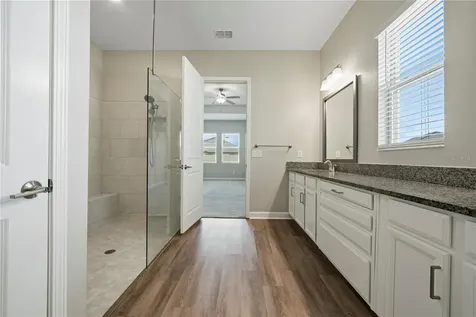 31875 Magna Gulf Loop San Antonio FL 33576