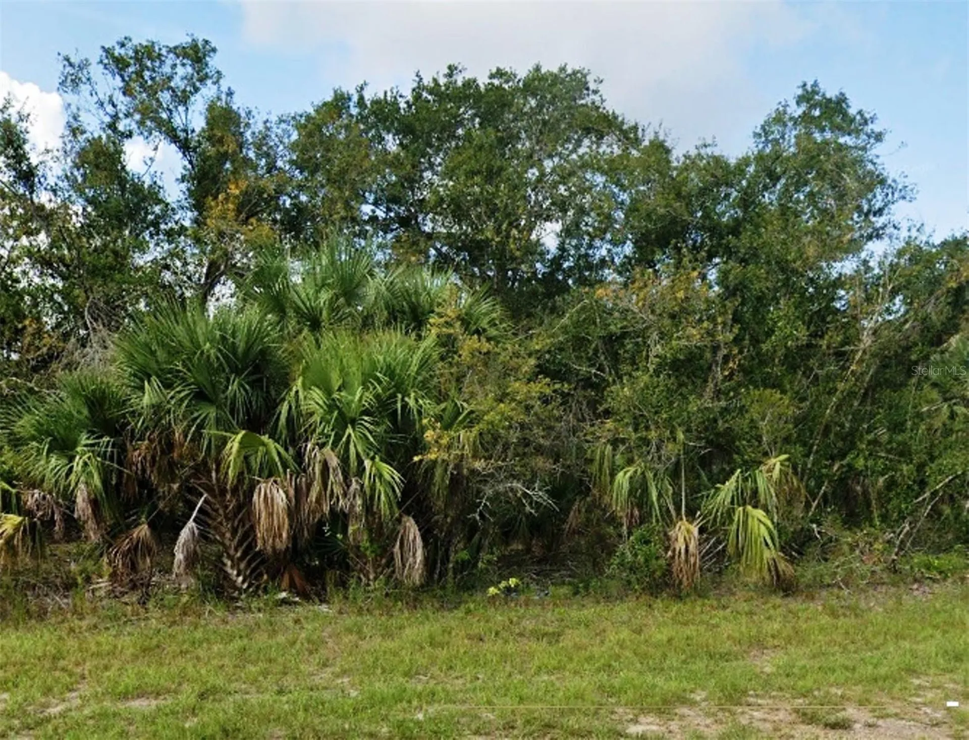 27159 San Pablo Drive Punta Gorda FL 33955