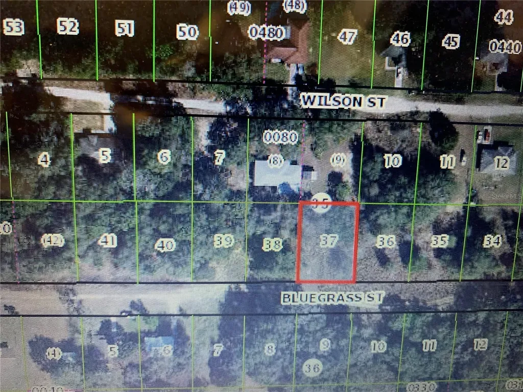2408 Bluegrass Street Inverness FL 34453