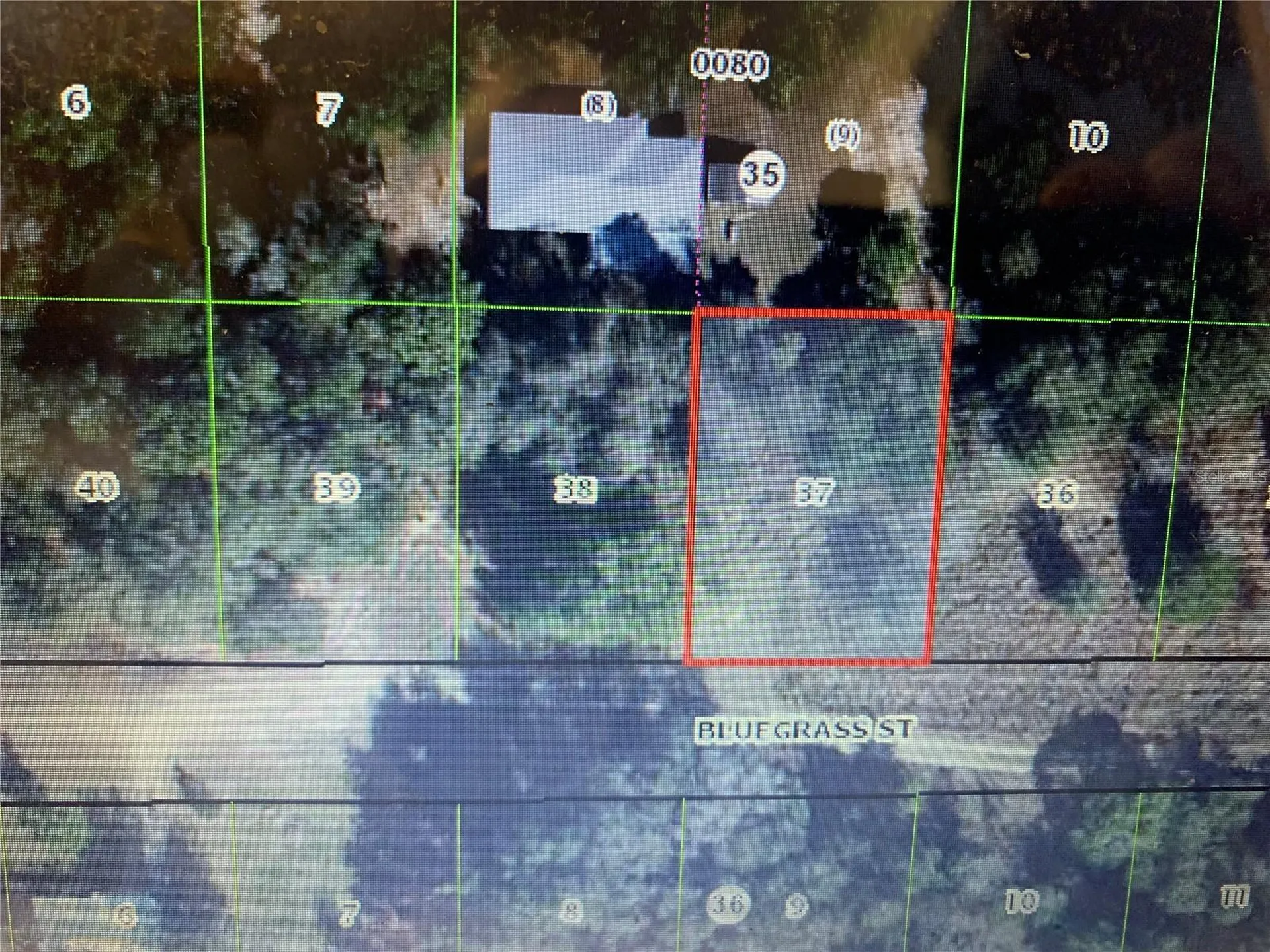 2408 Bluegrass Street Inverness FL 34453