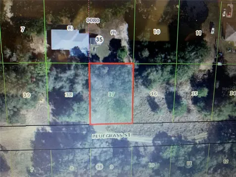2408 Bluegrass Street Inverness FL 34453