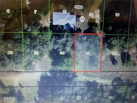 2408 Bluegrass Street Inverness FL 34453