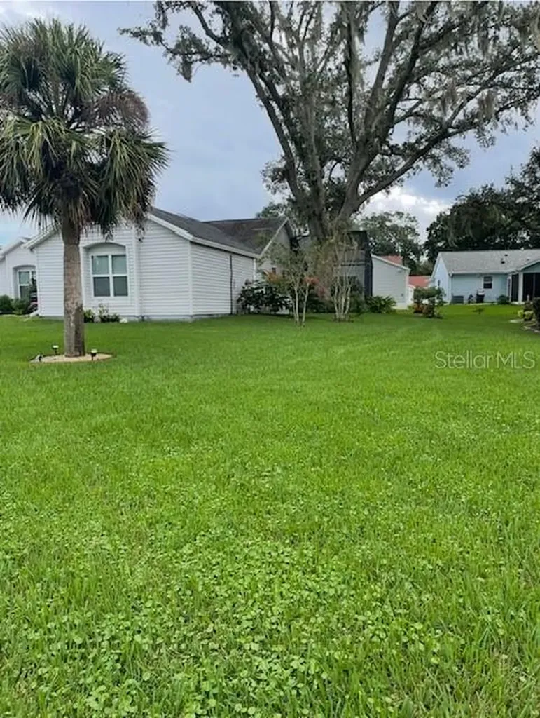 313 Gonzales Place Lady Lake FL 32159