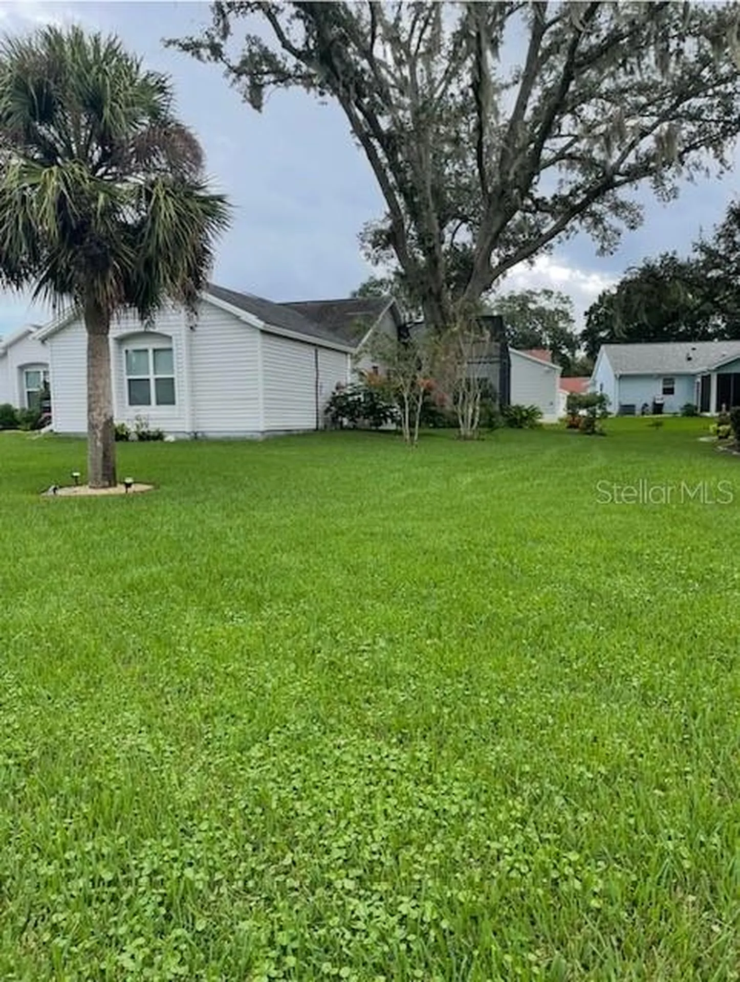 313 Gonzales Place Lady Lake FL 32159