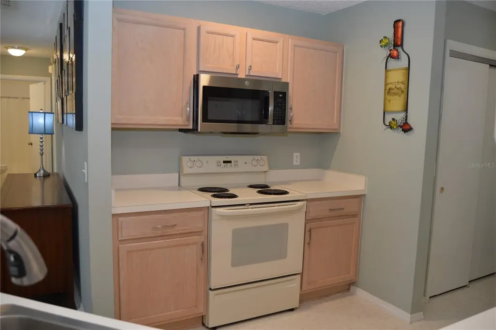 1706 El Nino Street The Villages FL 32162