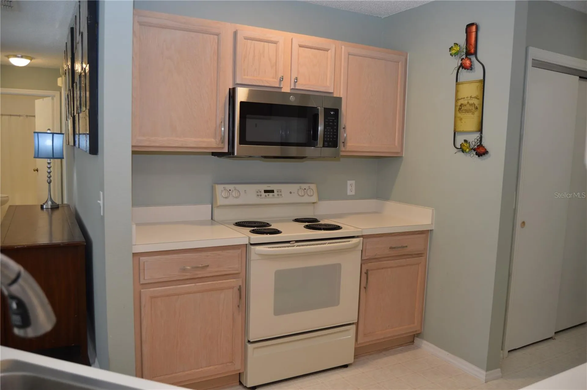 1706 El Nino Street The Villages FL 32162