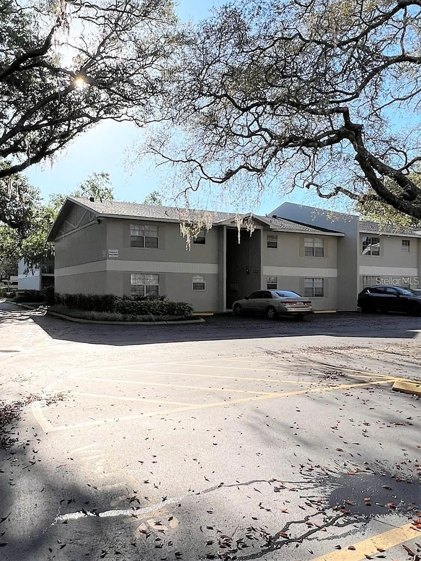 14470 Reuter Strasse Circle Tampa FL 33613