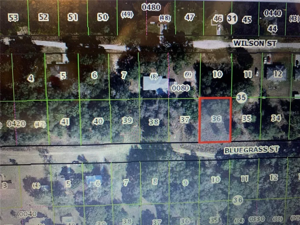 2406 Bluegrass Street Inverness FL 34453