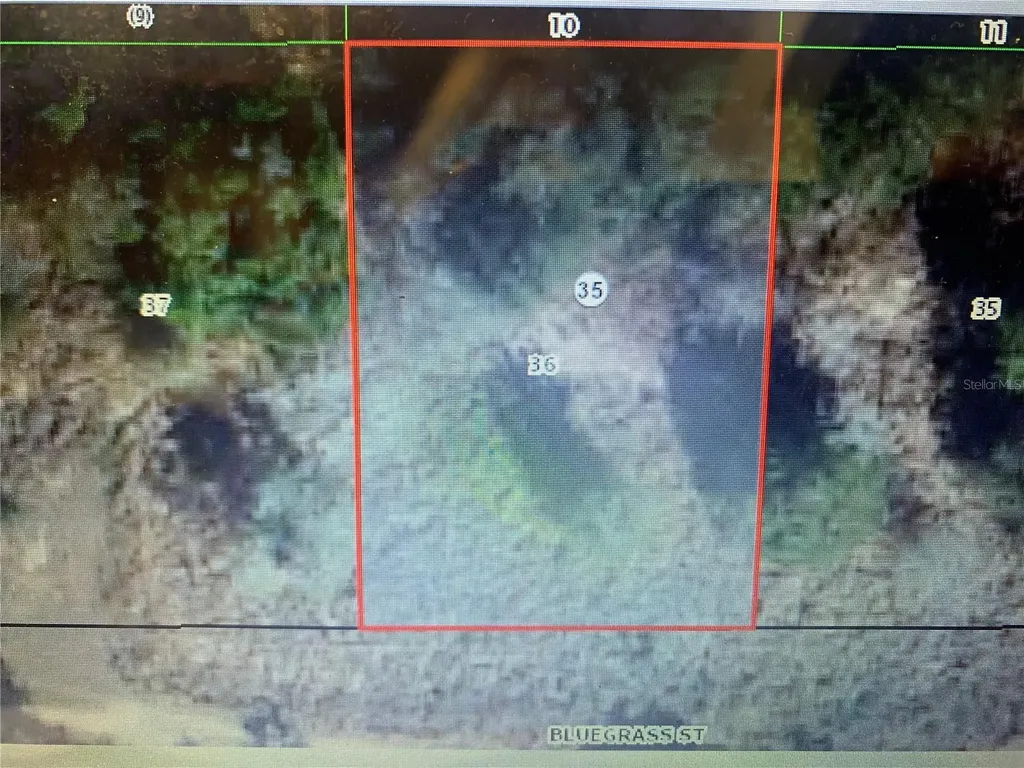 2406 Bluegrass Street Inverness FL 34453