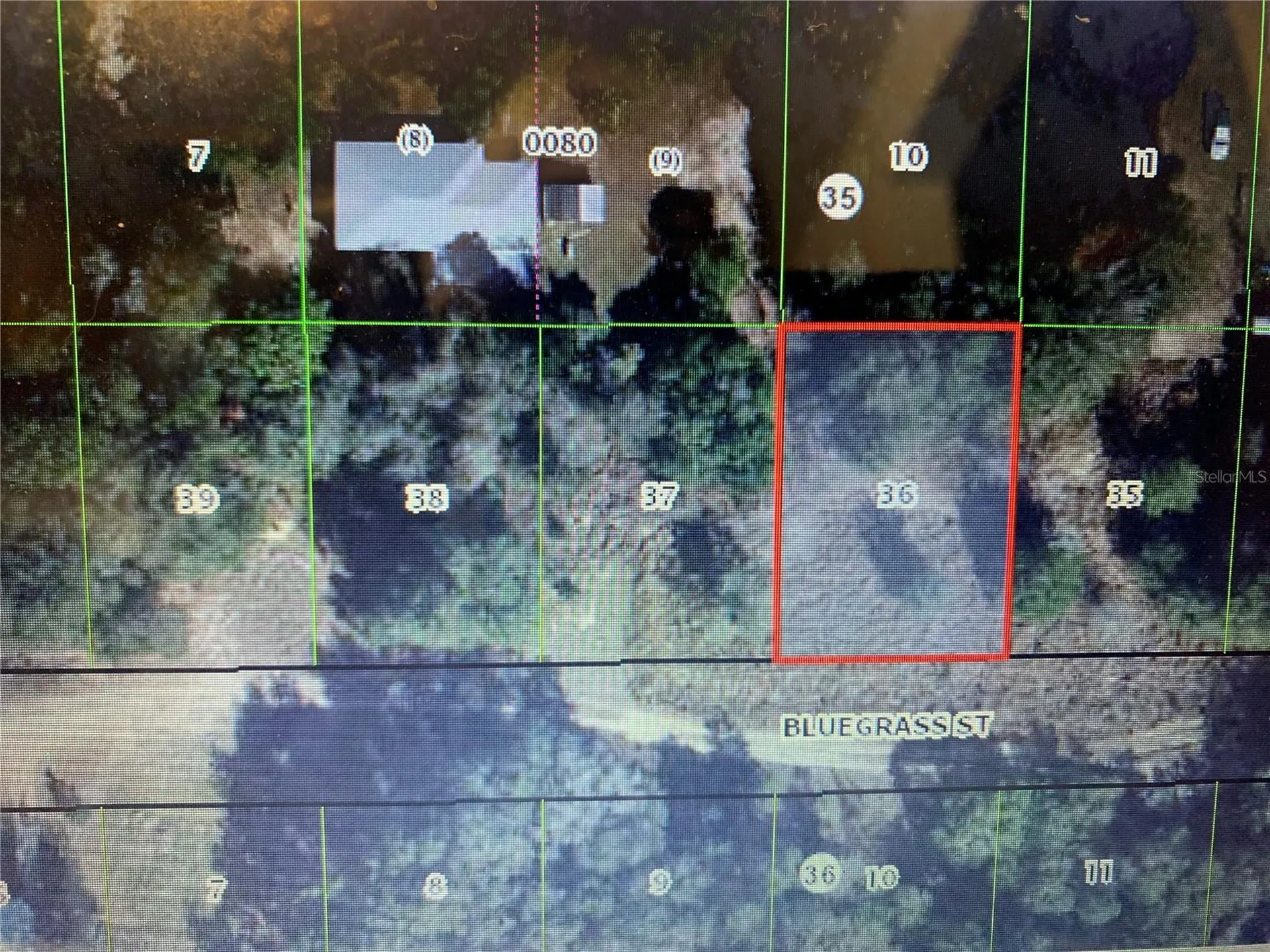 2406 Bluegrass Street Inverness FL 34453