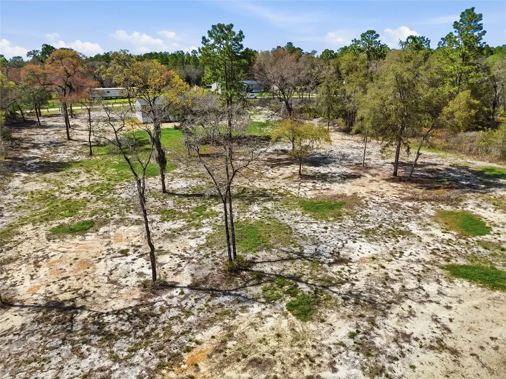 2231 SE 132nd Court Morriston FL 32668