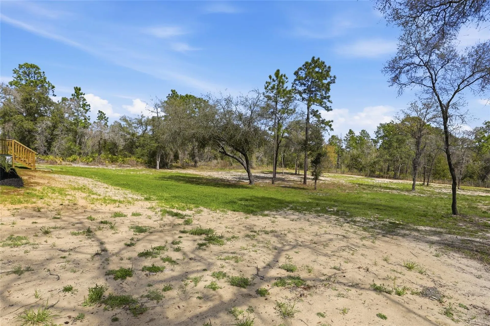 2231 SE 132nd Court Morriston FL 32668