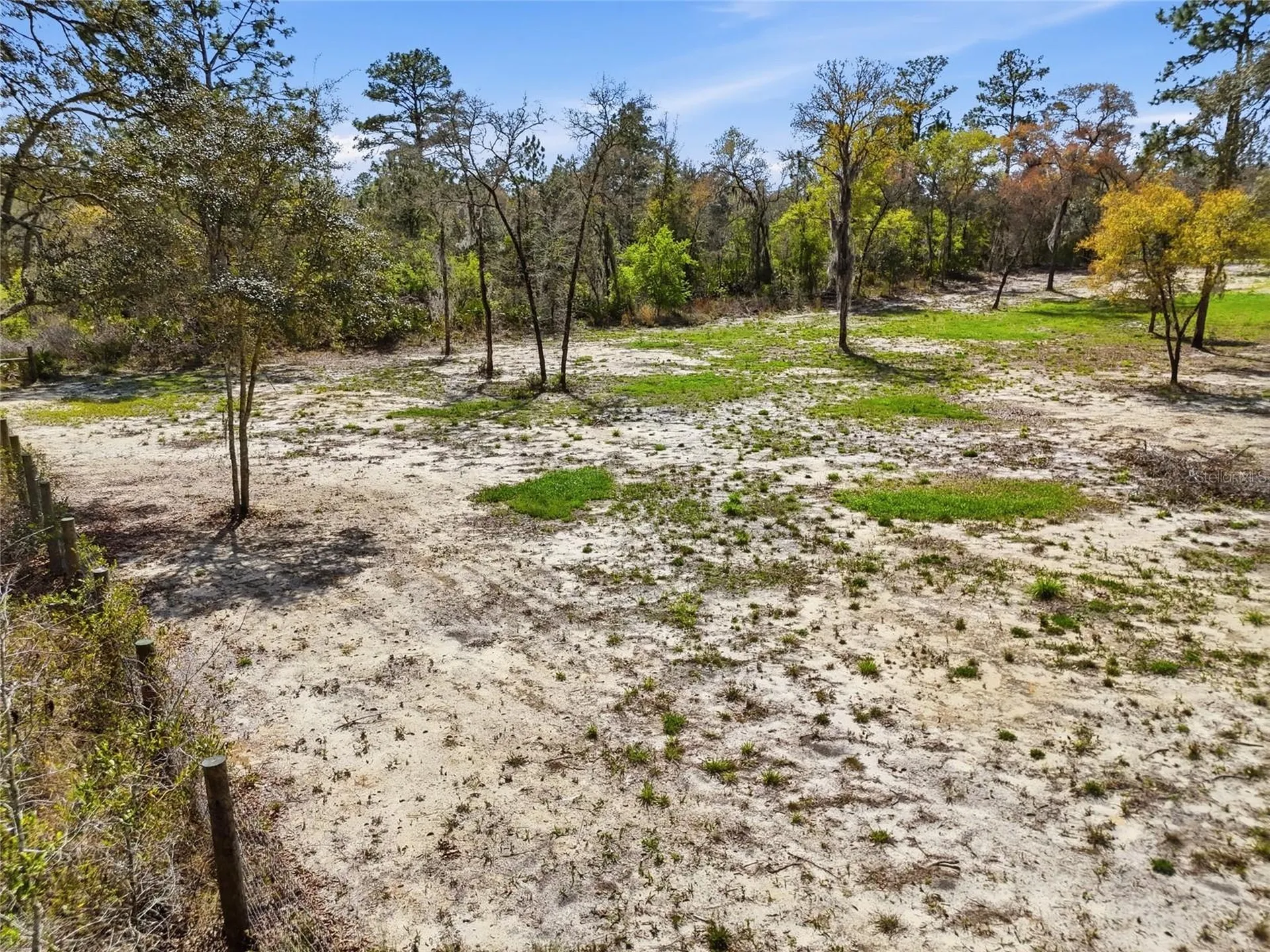 2231 SE 132nd Court Morriston FL 32668