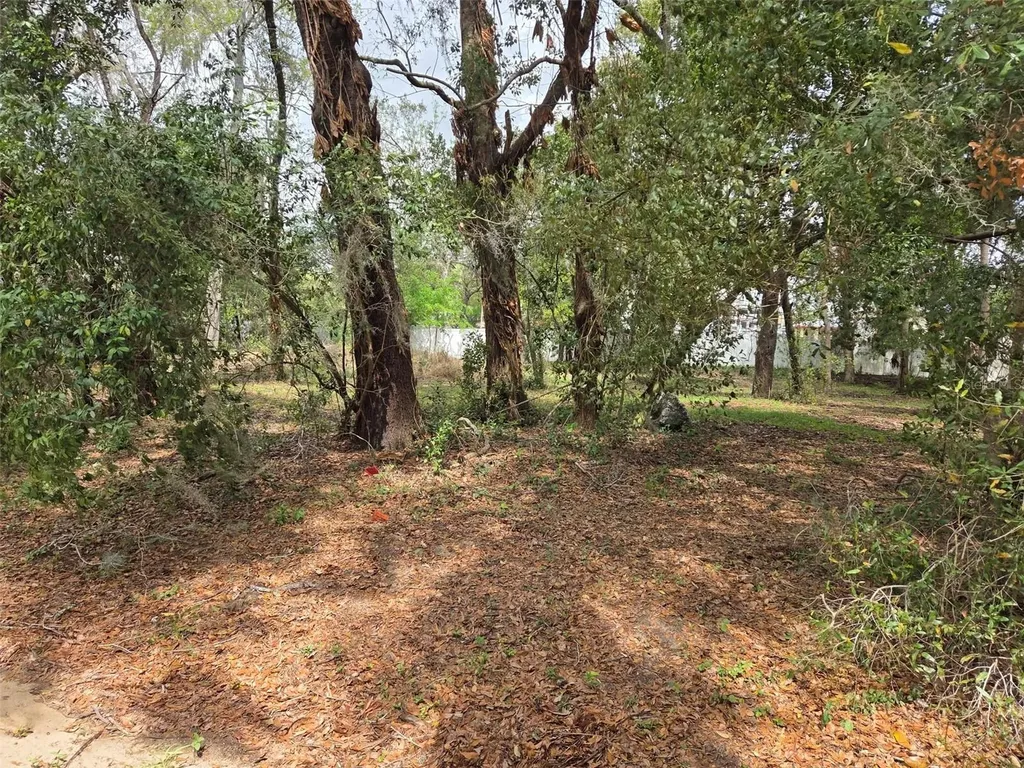 Kelly Lynn Court Zephyrhills FL 33541