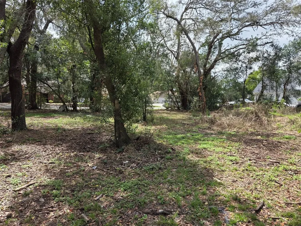 Kelly Lynn Court Zephyrhills FL 33541