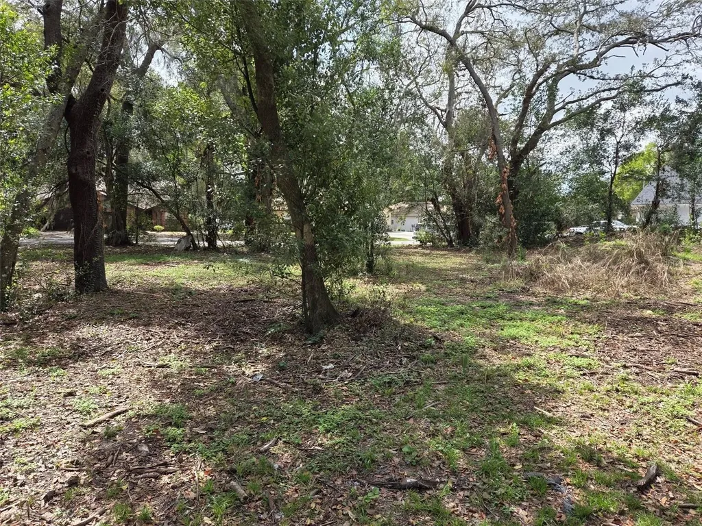 Kelly Lynn Court Zephyrhills FL 33541