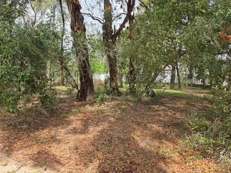 Kelly Lynn Court Zephyrhills FL 33541