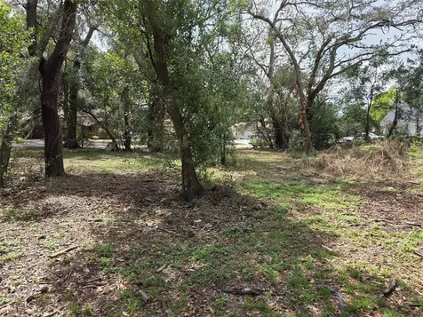 Kelly Lynn Court Zephyrhills FL 33541