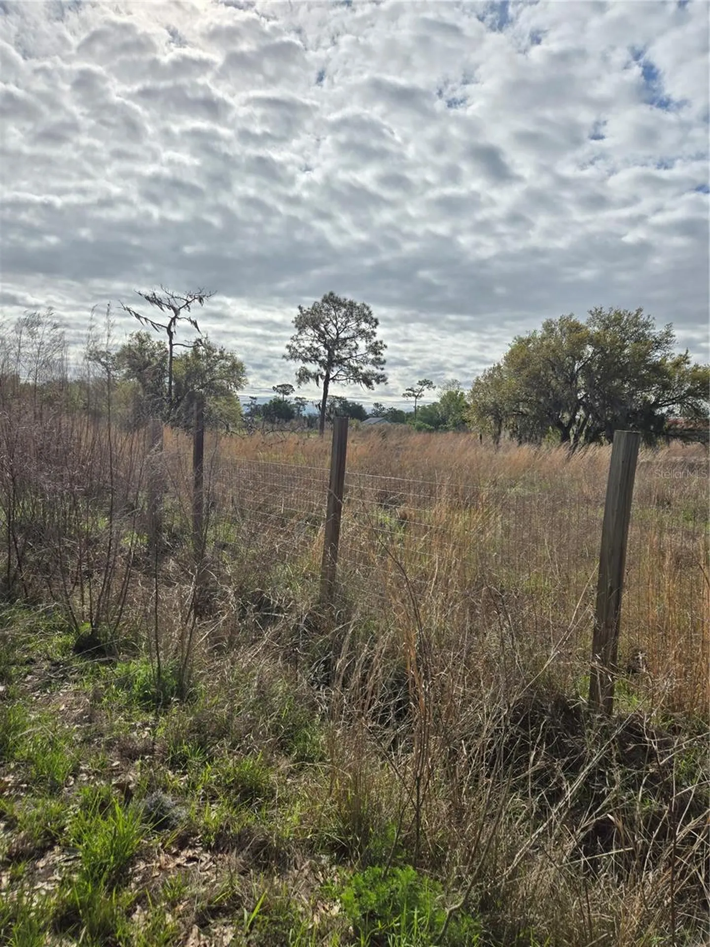 4685 Waterbury Road Myakka City FL 34251