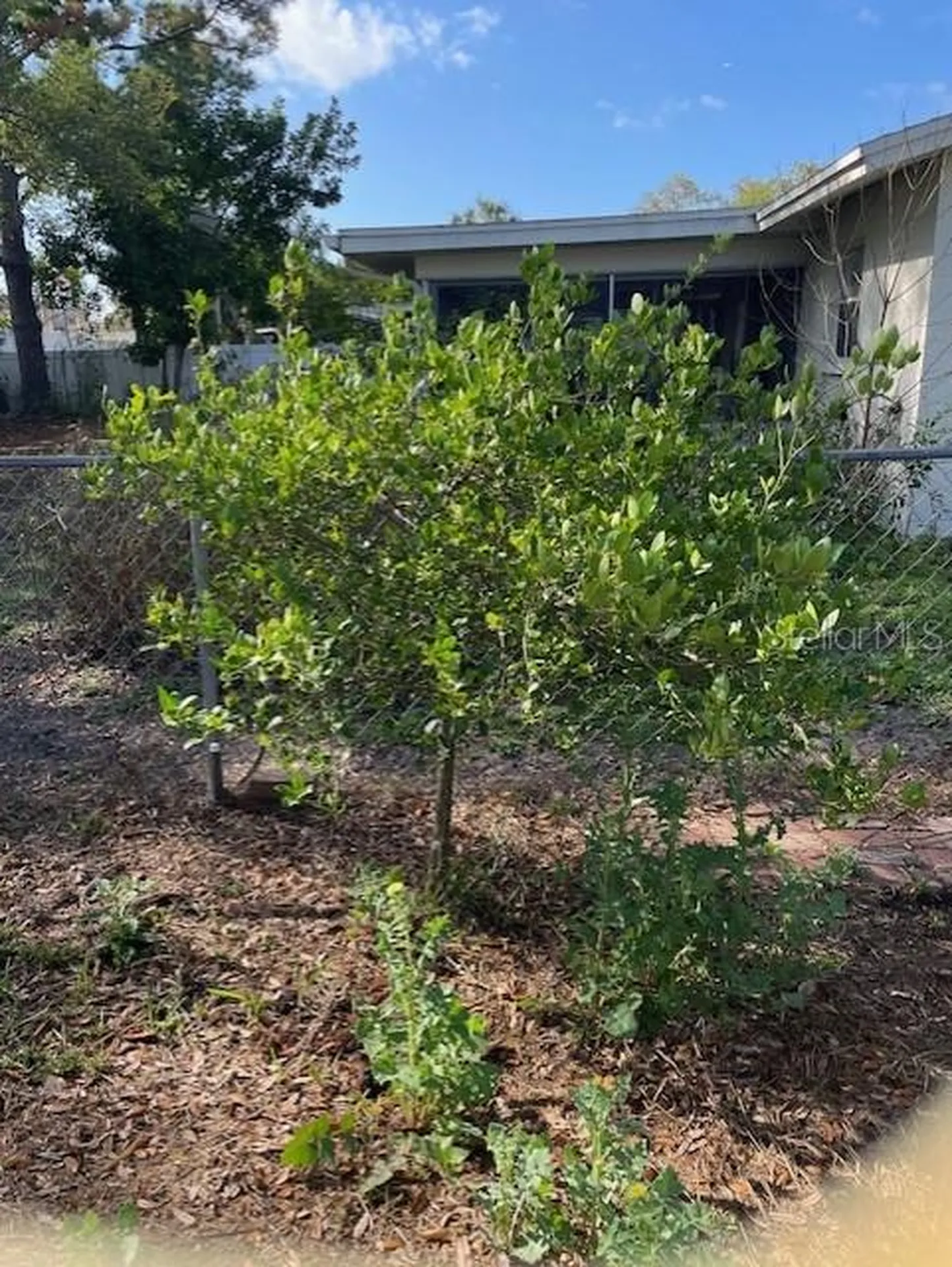 1924 62nd Avenue NE St Petersburg FL 33702