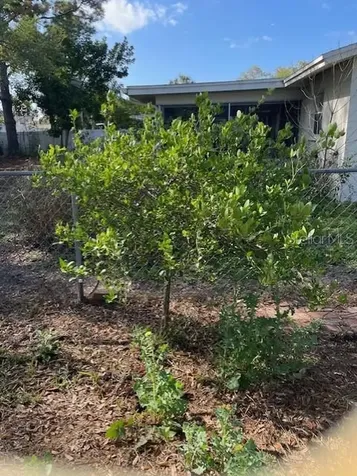 1924 62nd Avenue NE St Petersburg FL 33702