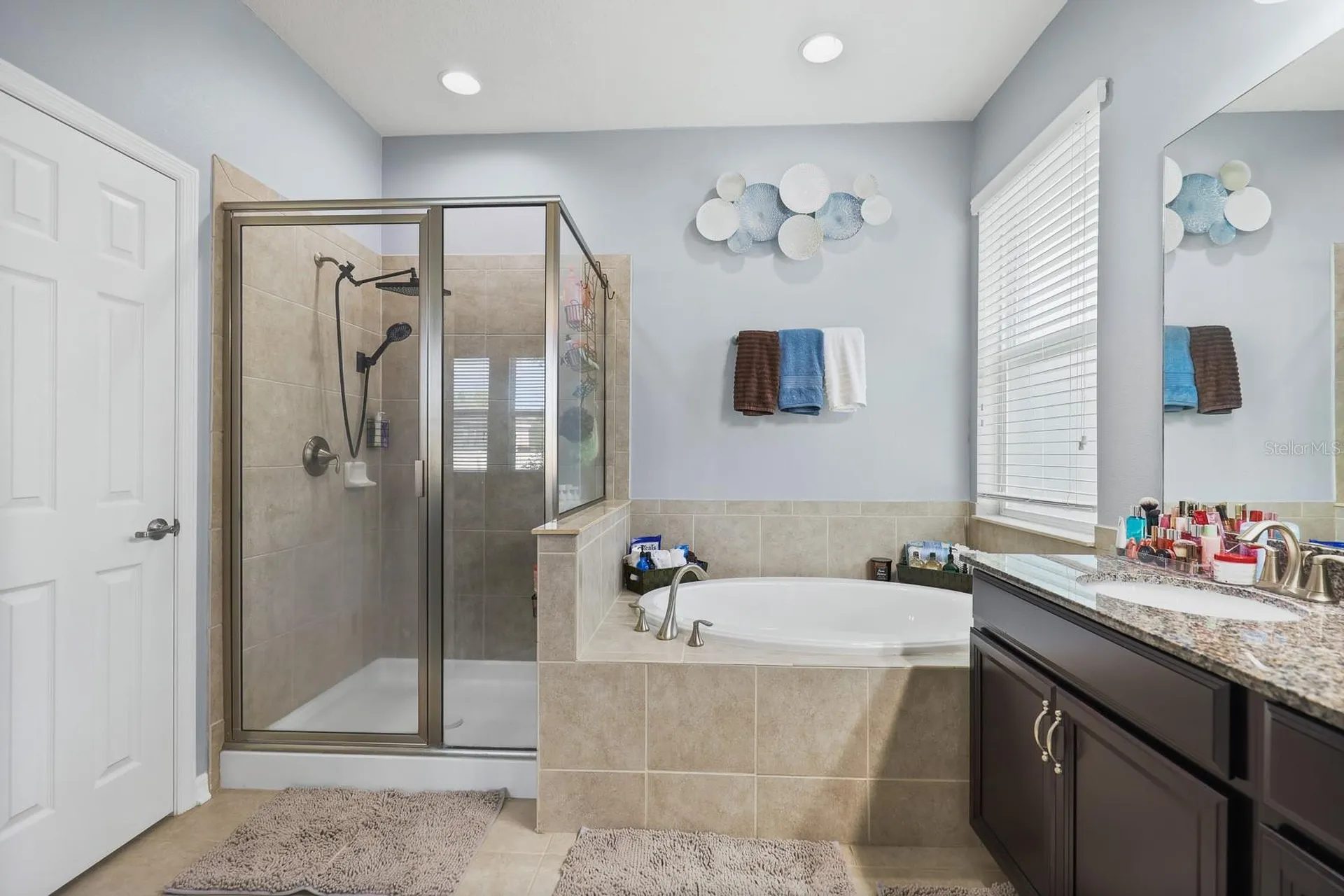 11204 Coventry Grove Circle Lithia FL 33547