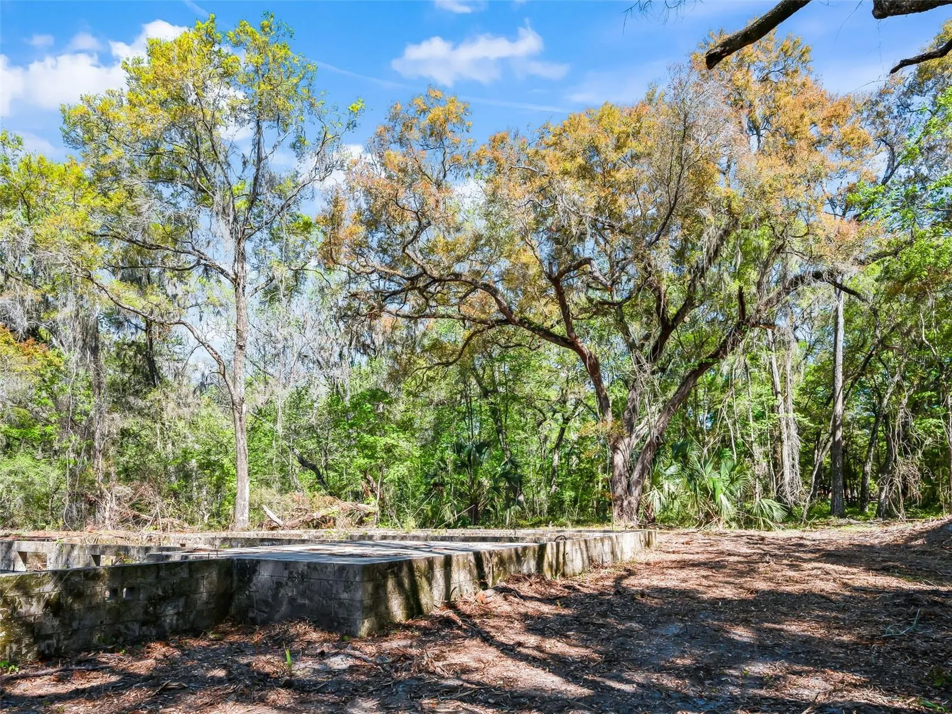 68 Lake View Drive E Ocala FL 34482