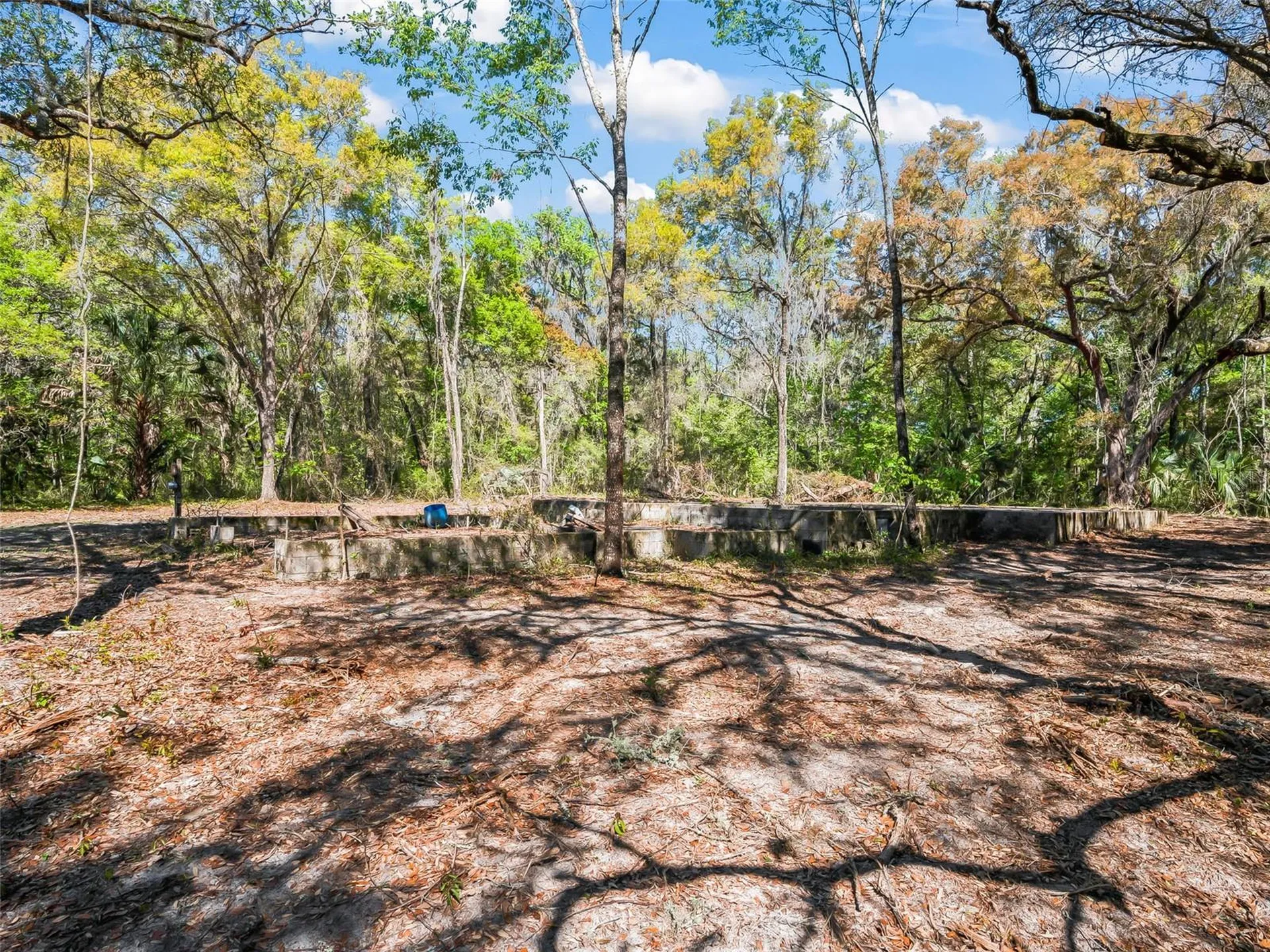 68 Lake View Drive E Ocala FL 34482