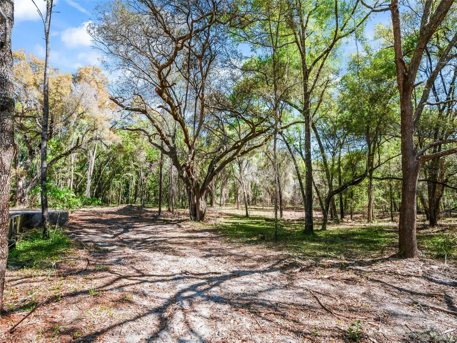 68 Lake View Drive E Ocala FL 34482