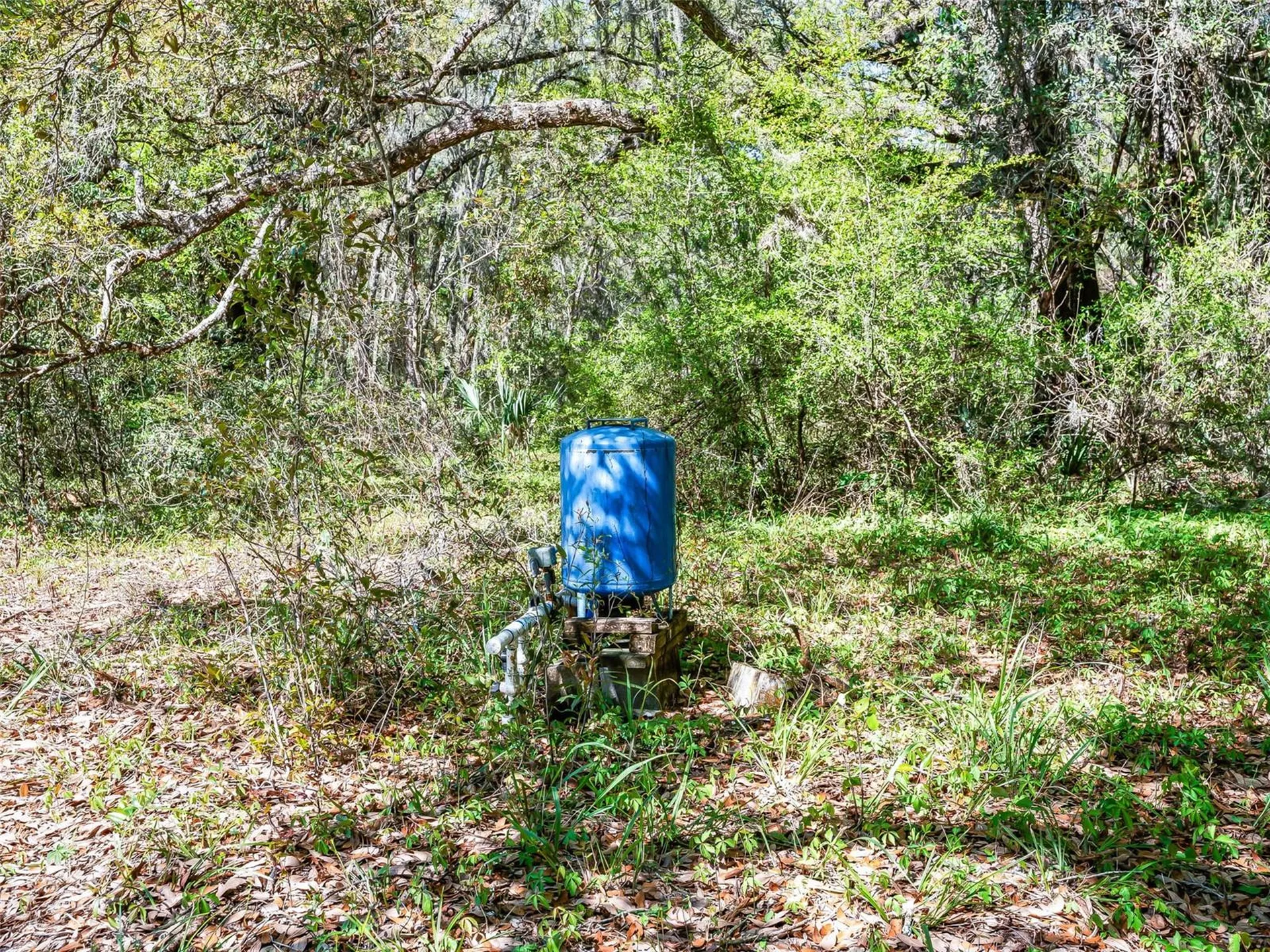 68 Lake View Drive E Ocala FL 34482