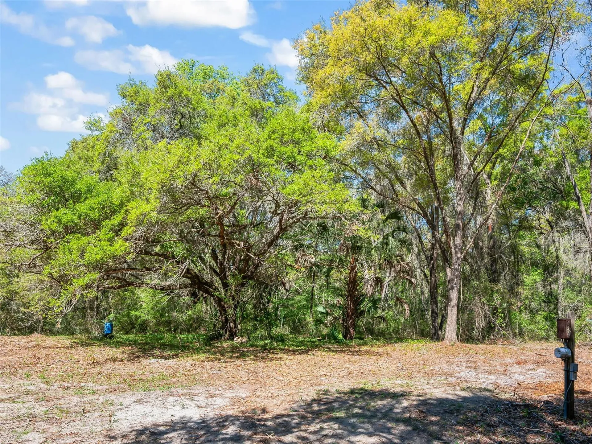 68 Lake View Drive E Ocala FL 34482
