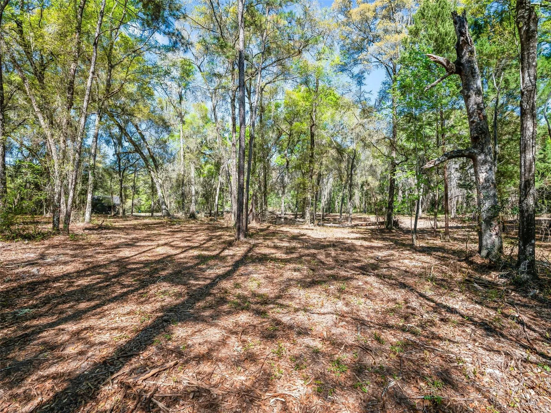 68 Lake View Drive E Ocala FL 34482