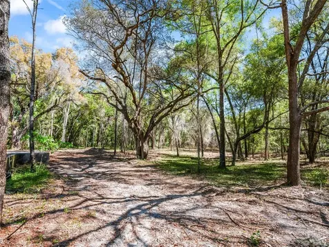 68 Lake View Drive E Ocala FL 34482