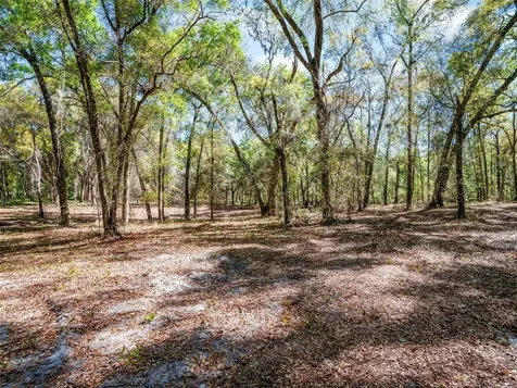68 Lake View Drive E Ocala FL 34482