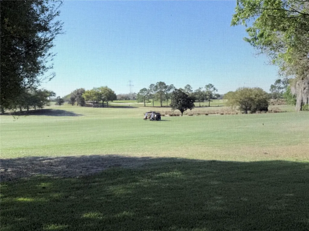 16913 SE 88th Trumbull Terrace The Villages FL 32162