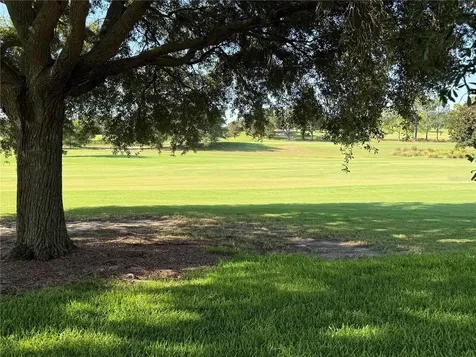 16913 SE 88th Trumbull Terrace The Villages FL 32162