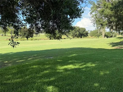 16913 SE 88th Trumbull Terrace The Villages FL 32162