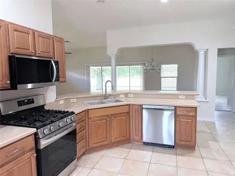 16913 SE 88th Trumbull Terrace The Villages FL 32162