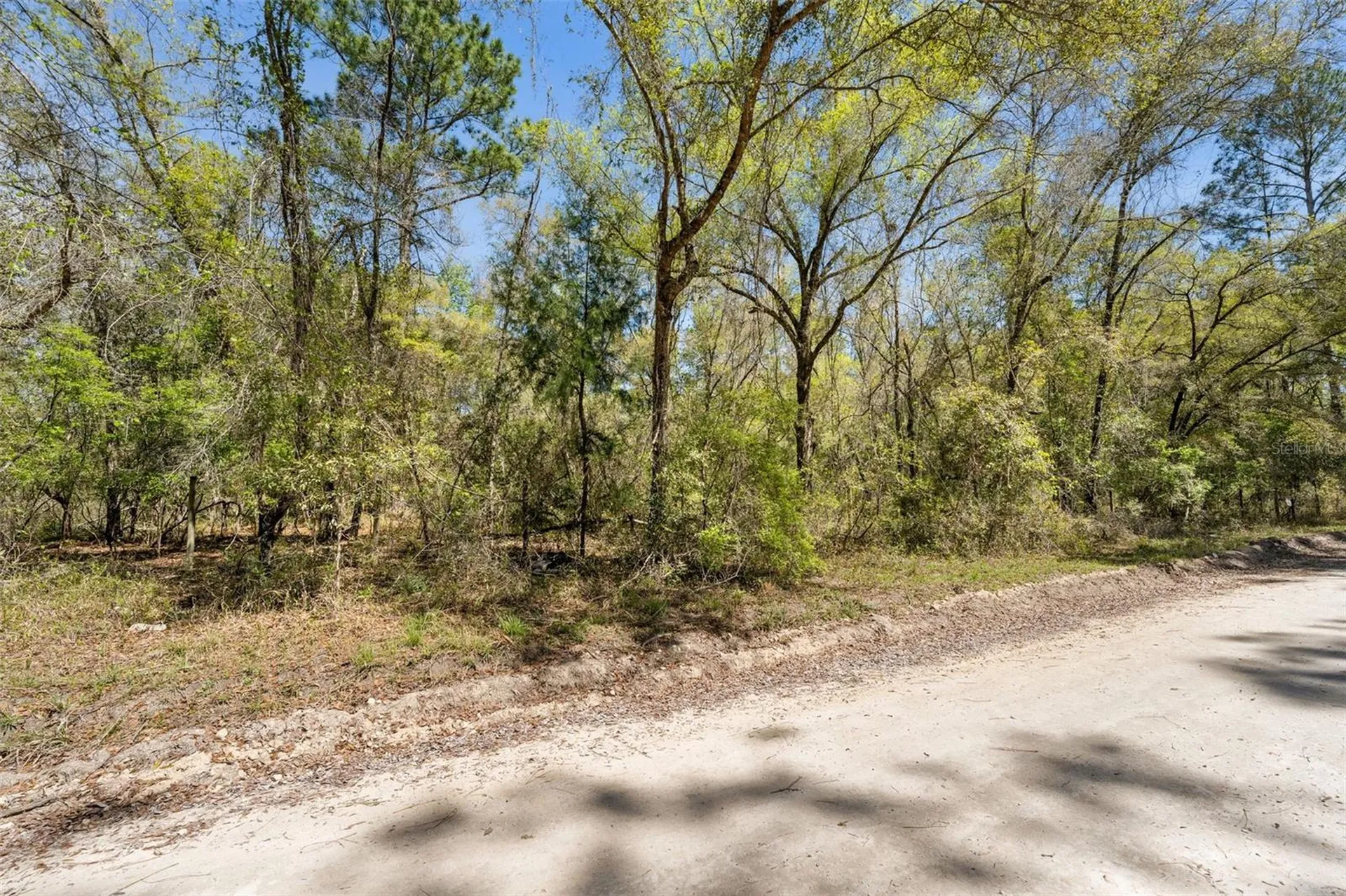 0 SE 91st Trail Trenton FL 32693