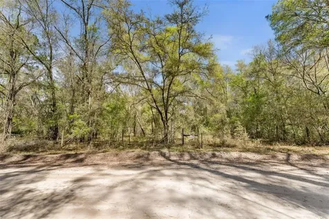 0 SE 91st Trail Trenton FL 32693