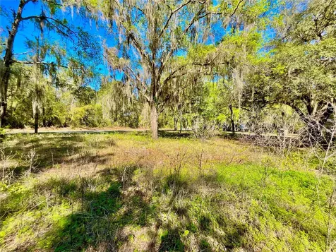 Lot 2 SE 16th Street Melrose FL 32666