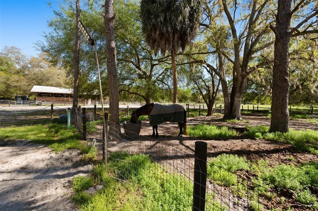 15311 SW 107th Street Archer FL 32618