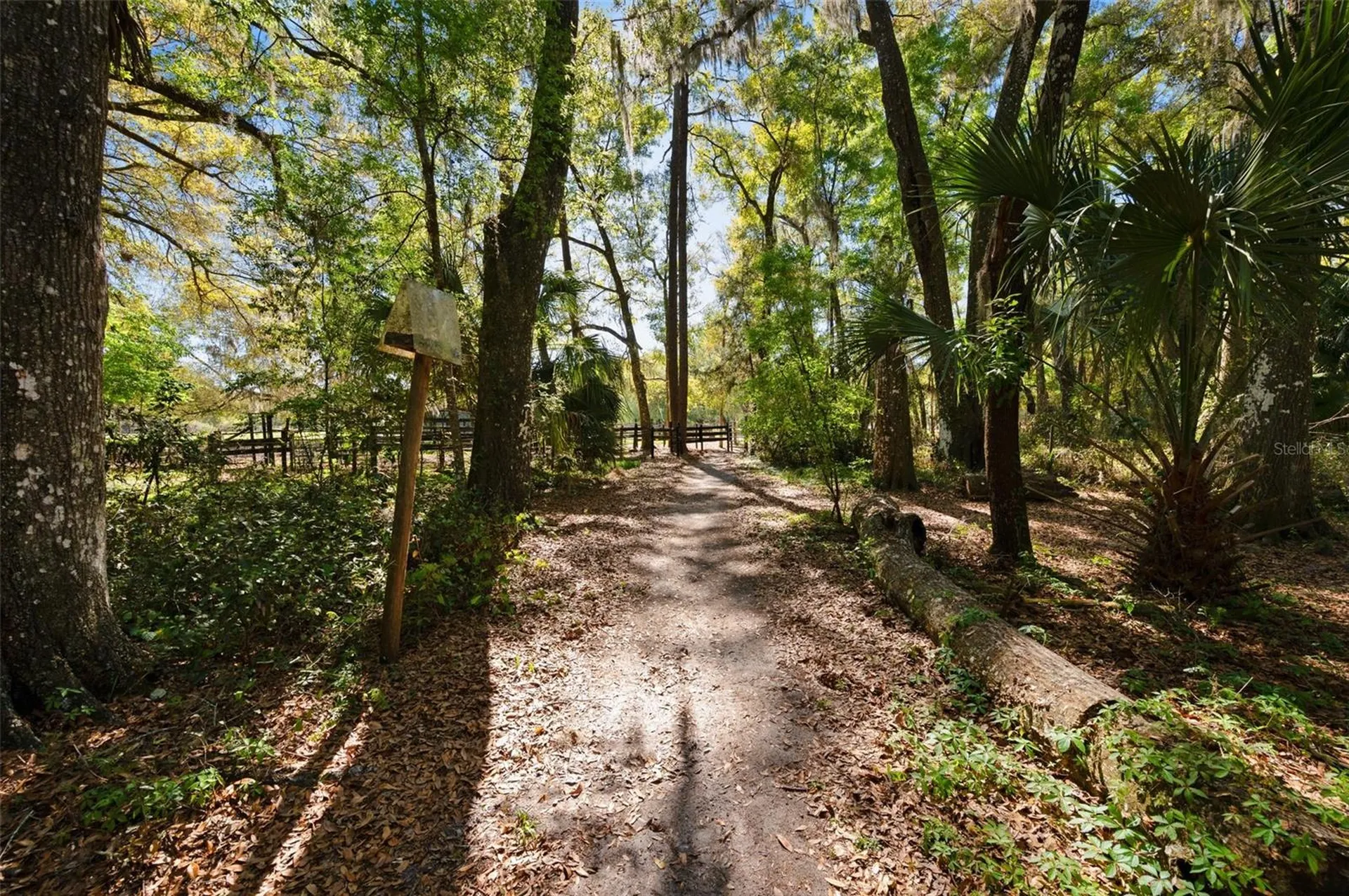 15311 SW 107th Street Archer FL 32618