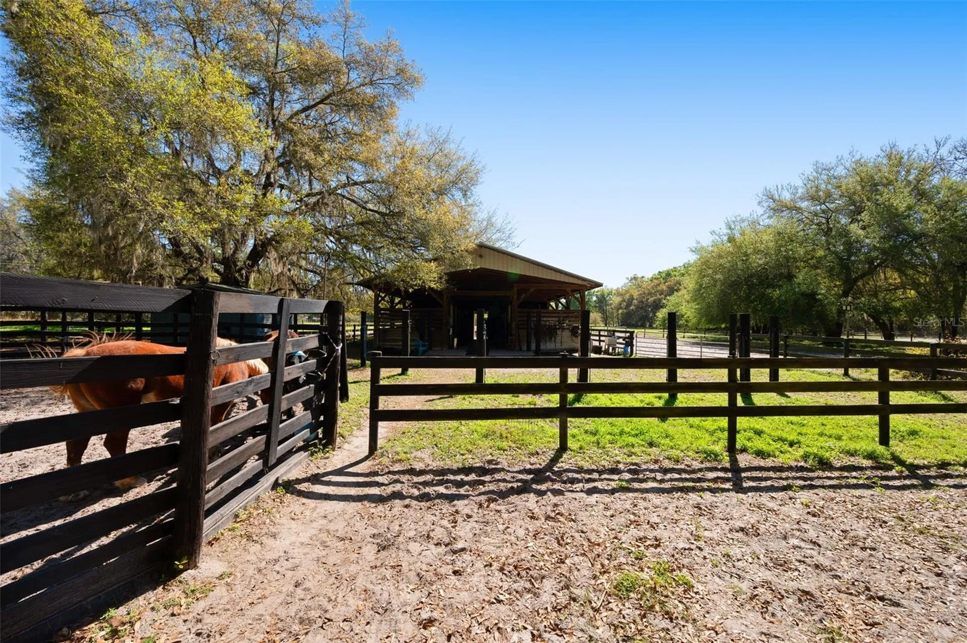 15311 SW 107th Street Archer FL 32618