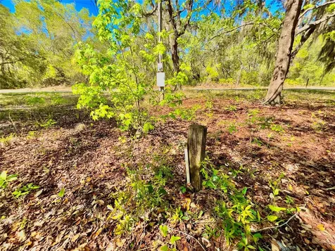 Lot 1 SE 16th Street Melrose FL 32666