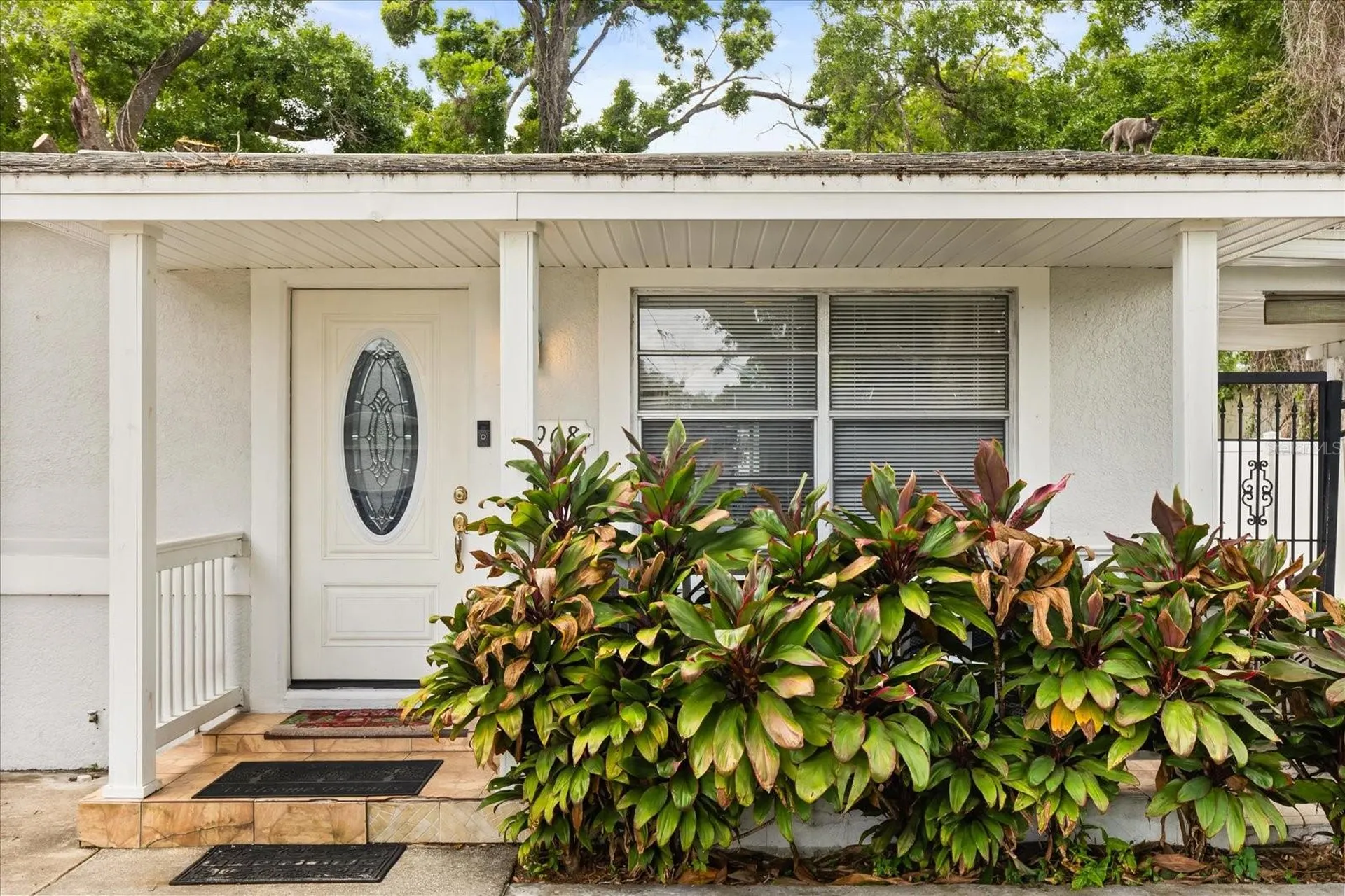 6908 N Oregon Avenue Tampa FL 33604