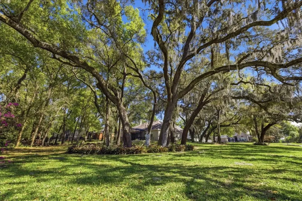 597 Sand Wedge Loop Apopka FL 32712