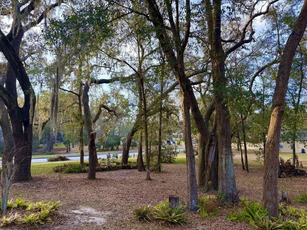 597 Sand Wedge Loop Apopka FL 32712