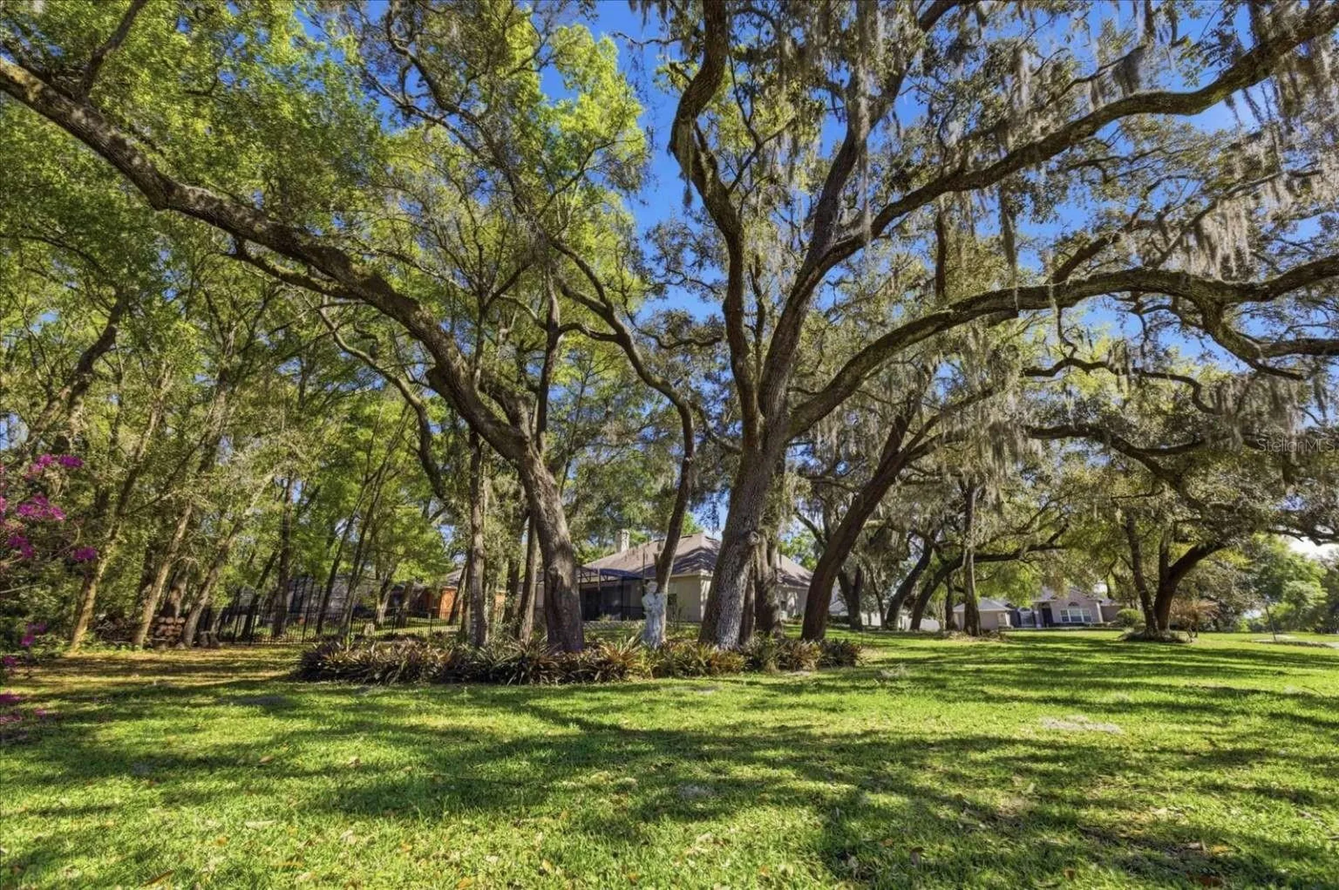 597 Sand Wedge Loop Apopka FL 32712