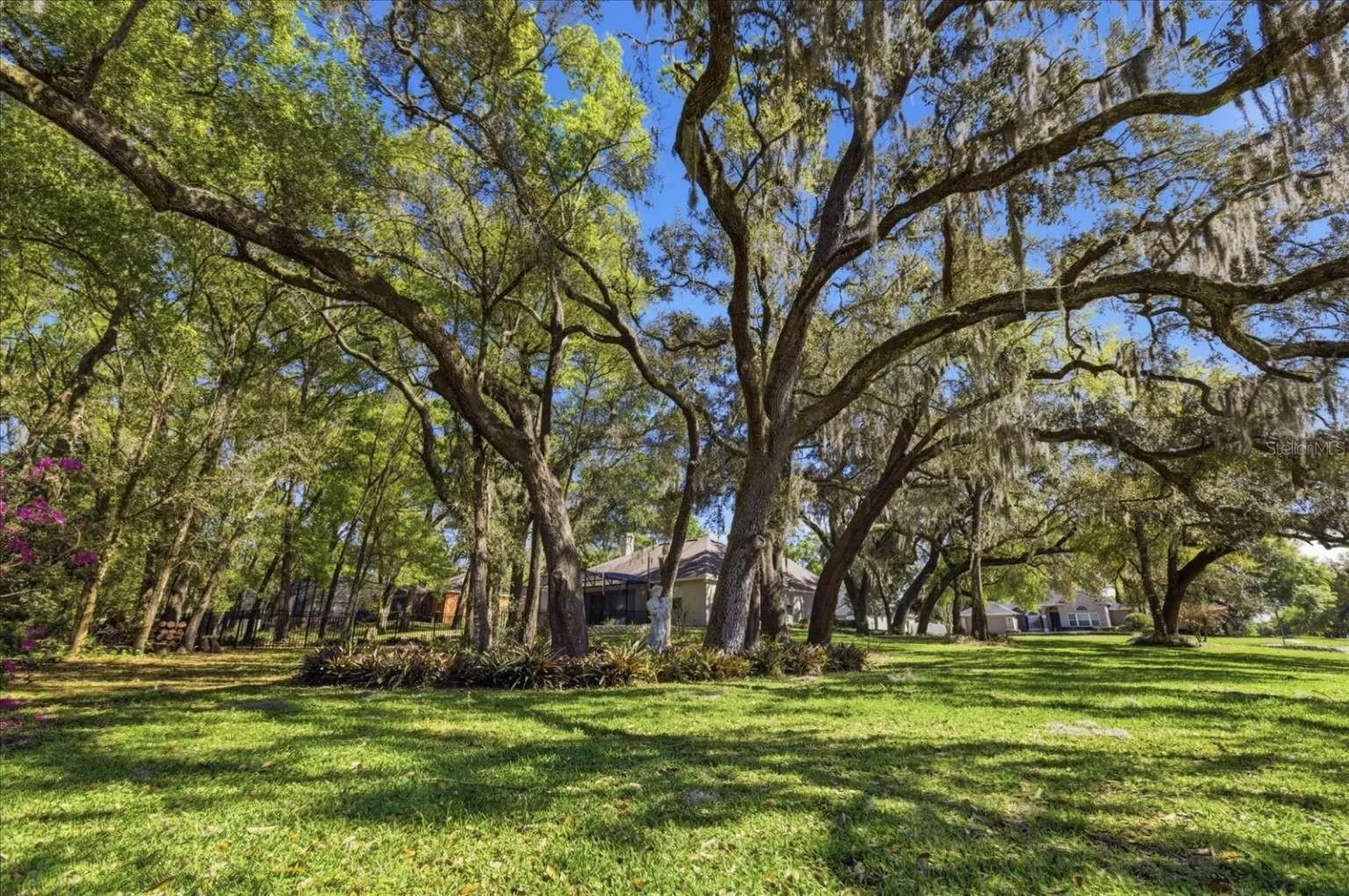 597 Sand Wedge Loop Apopka FL 32712